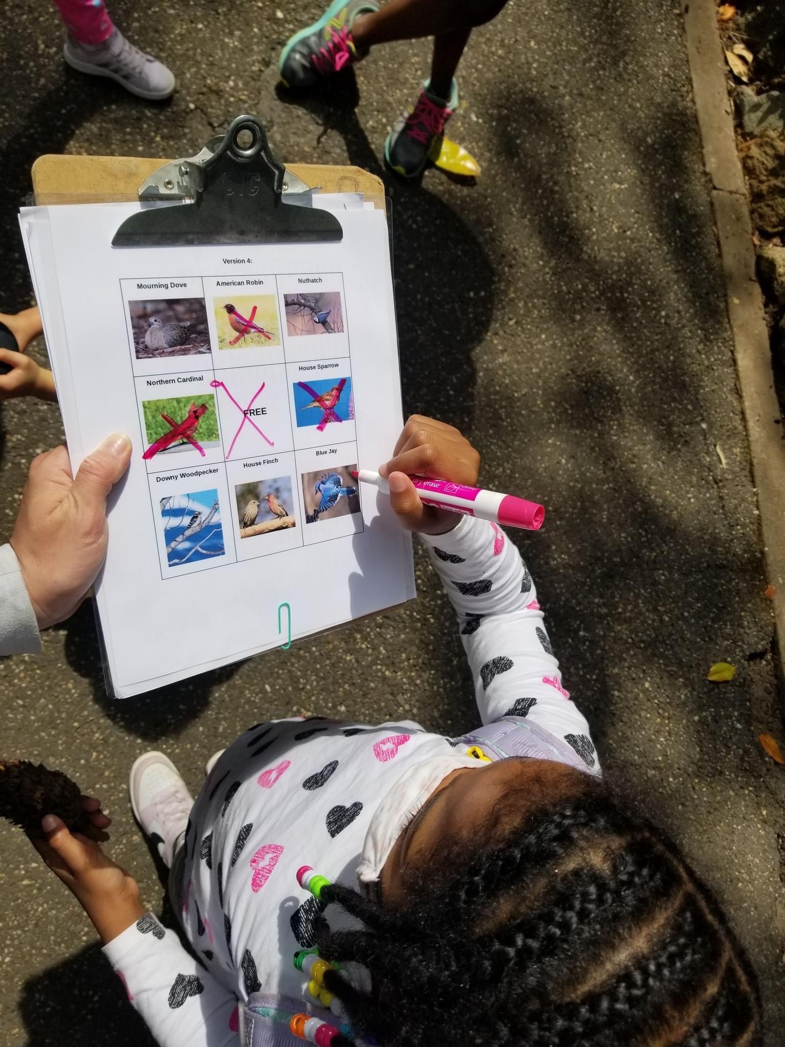 A child plays bird bingo on a clipboard